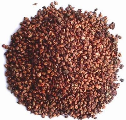 Pile of grape seeds ready for oil extraction