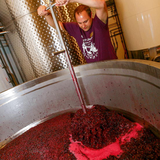 Man stirring red wine grapes in a large vat at a winery.