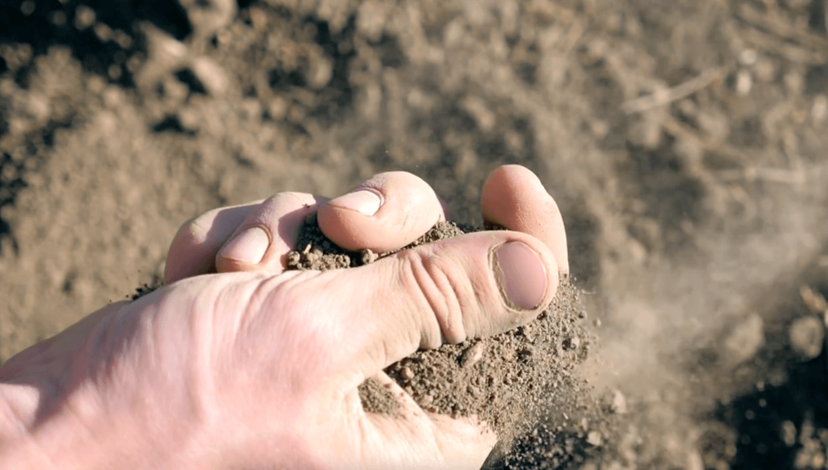 Rutherford Dust