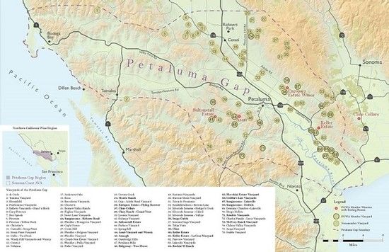 Map of Sonoma County showing Petaluma Gap wine region