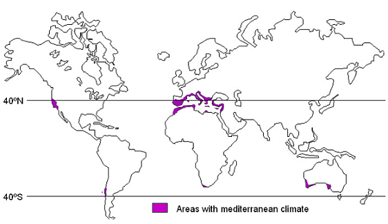 World map highlighting Mediterranean climate regions