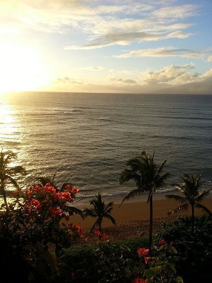 Ocean sunrise with palm trees and tropical flowers