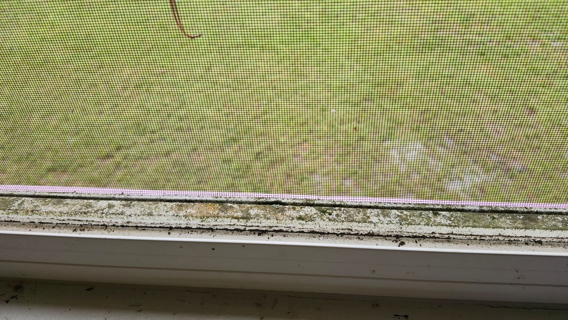White-framed window with textured green mesh screen covered in dirt and streaks