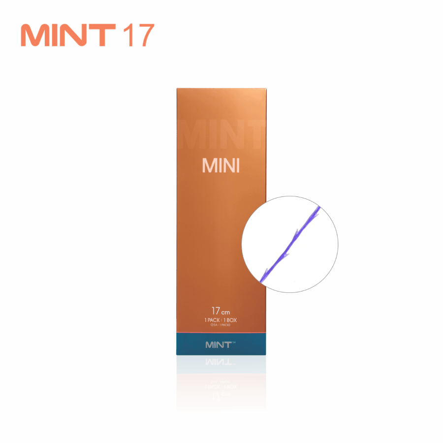 MINT 17