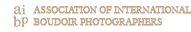 AI Association of International Business Officers logo in tan and white text on a dark background