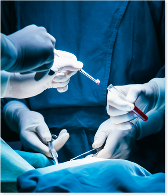 Um grupo de cirurgiões está realizando uma cirurgia em um paciente