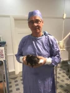 A Man in a Surgical Gown is Holding a Small Animal in His Hands — Pet Medical Centre in Dubbo, NSW