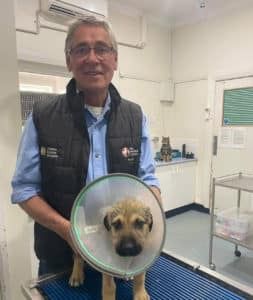 A Man is Holding a Puppy With a Cone on Its Head — Pet Medical Centre in Dubbo, NSW