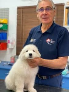 A Man is Holding a White Puppy in His Arms — Pet Medical Centre in Dubbo, NSW