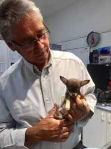 A Man is Holding a Small Dog in His Hands — Pet Medical Centre in Dubbo, NSW