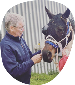 A Man is Petting a Horse With a Blue Bridle — Pet Medical Centre in Dubbo, NSW