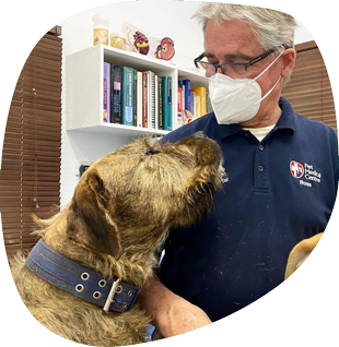 A Dog is Laying in a Ct Scan Machine — Pet Medical Centre in Dubbo, NSW