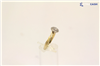 Gold ring with a round diamond cluster setting on a light background