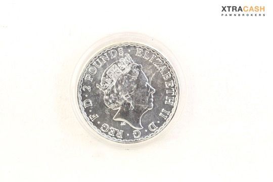 Silver coin on a white background with a circular emblem in the center