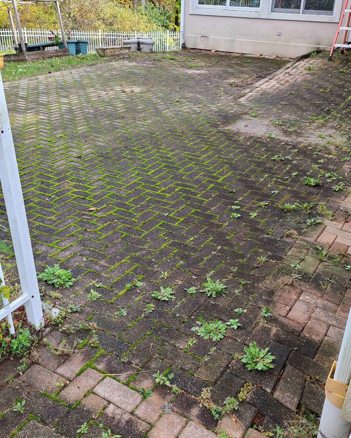 Pressure Washing Before After