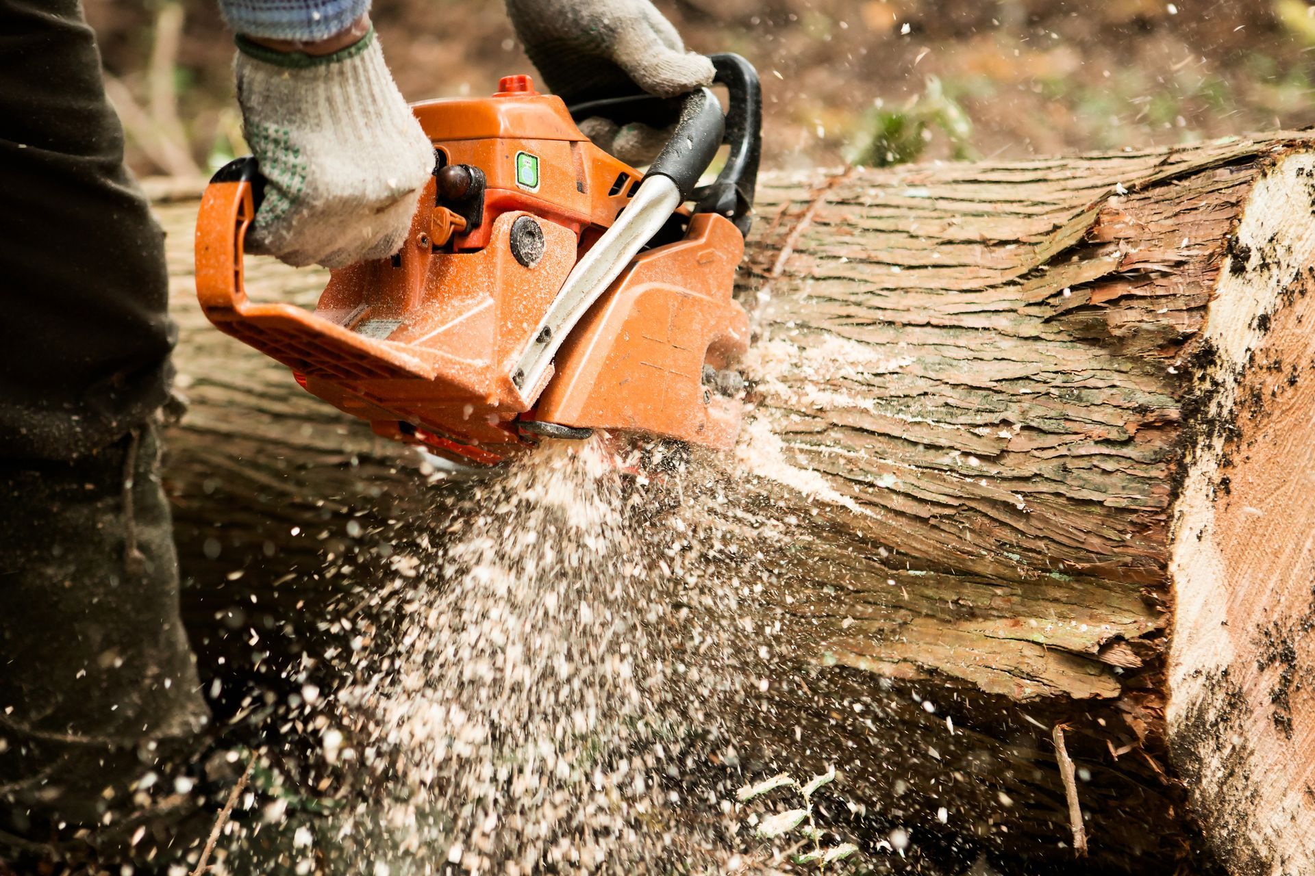 A person is cutting a log with a chainsaw.