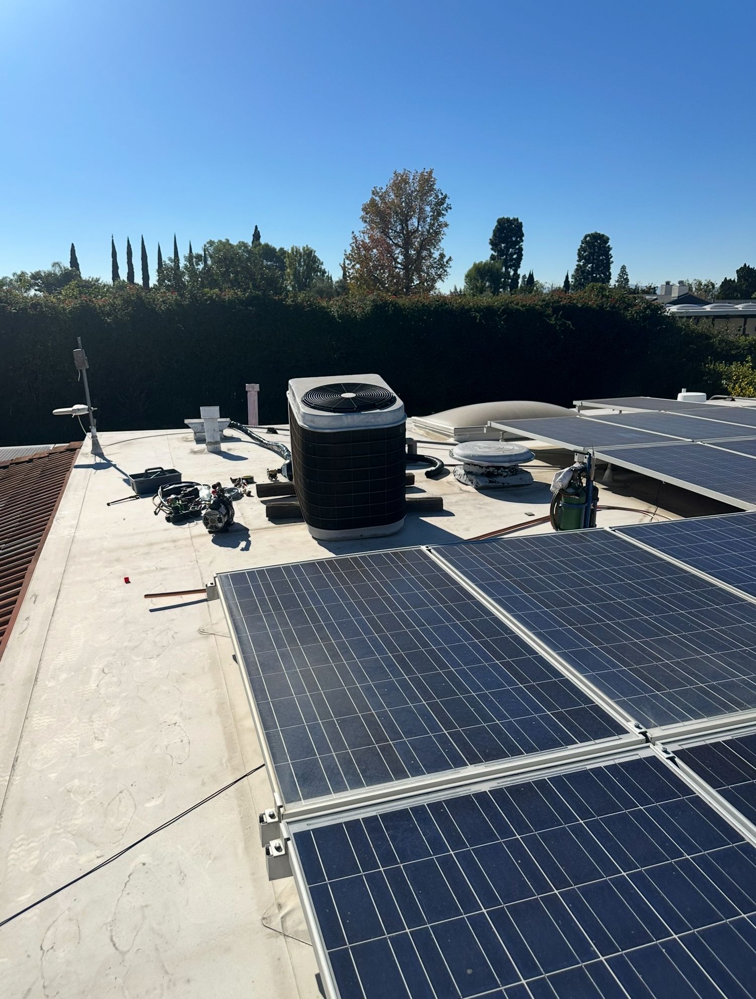 Solar panels on a flat rooftop under a clear blue sky, with HVAC units and trees in the distance.