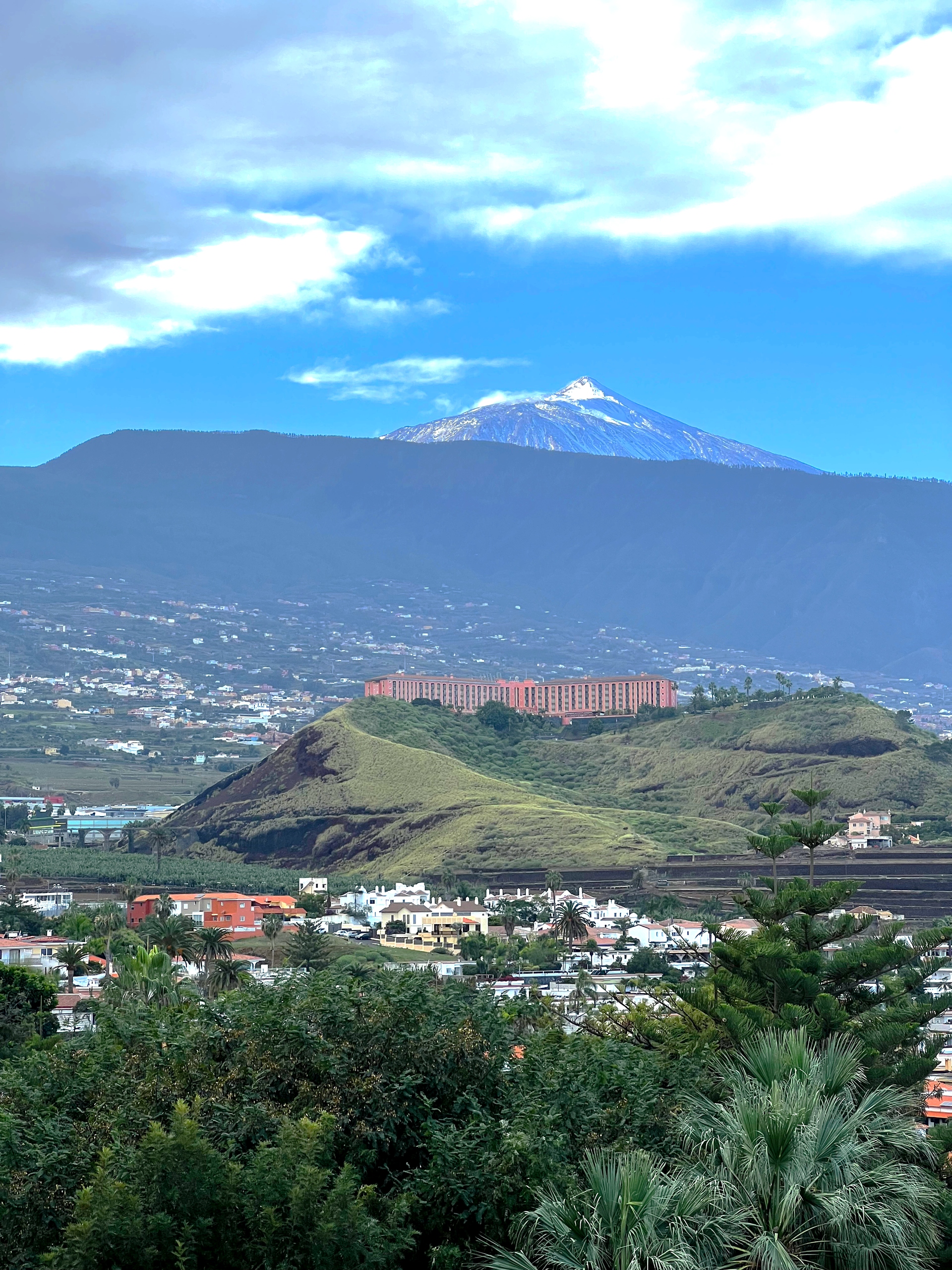 A view of a city with a mountain in the background