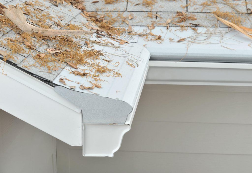 White gutters on a residential roof edge covered with scattered dry leaves and debris.