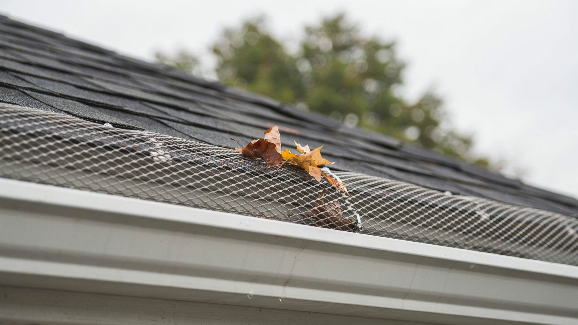 gutter guard vs leaf filter