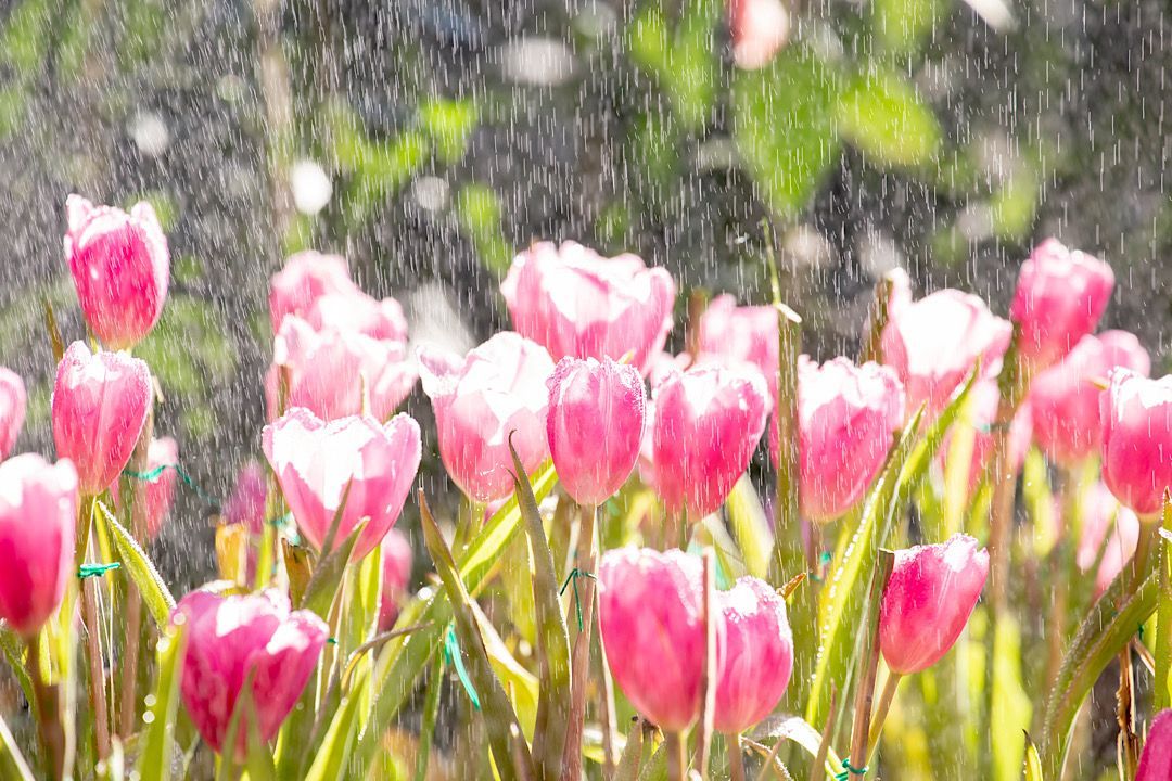 Gutter guards in colorados spring showers