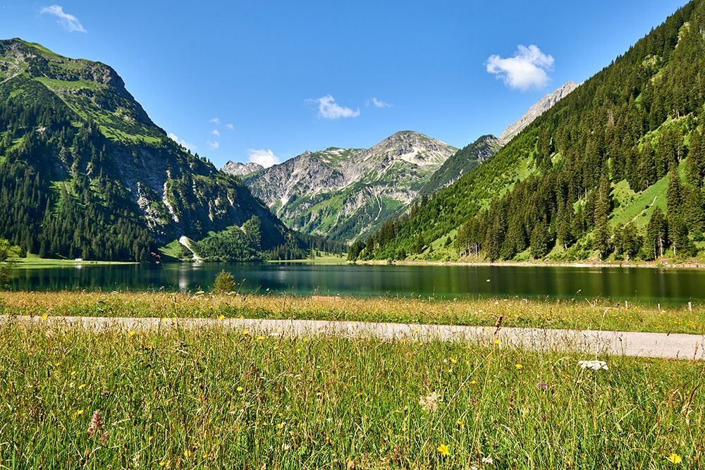 Idyllischer Bergsee (vilsalpsee) in den Alpen mit grüner Wildblumenwiese und Bergen unter blauem Himmel.