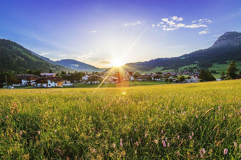 Tannheim Malerisches gelegen im Sonnenuntergang mit grüner Wildblumenwiese und Bergen im Hintergrund.