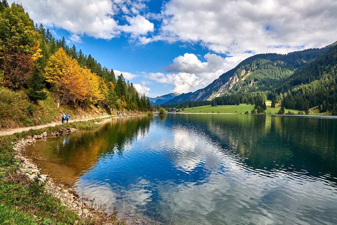 Idyllischer Bergsee Vilsalpsee in den Alpen mit grüner Wildblumenwiese und Bergen unter blauem Himmel.