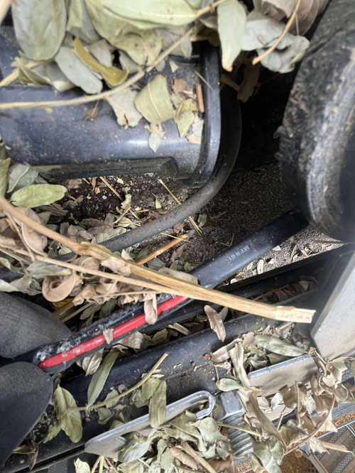 Black wire with red stripe and a bolt surrounded by debris, leaves and dirt.
