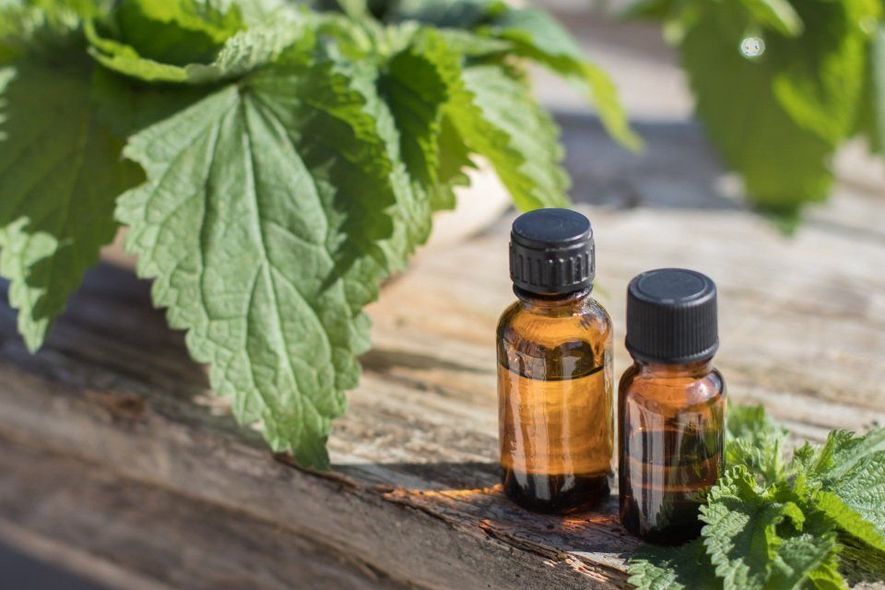 Due boccette di olio essenziale color ambra su una superficie di legno sotto foglie verdi