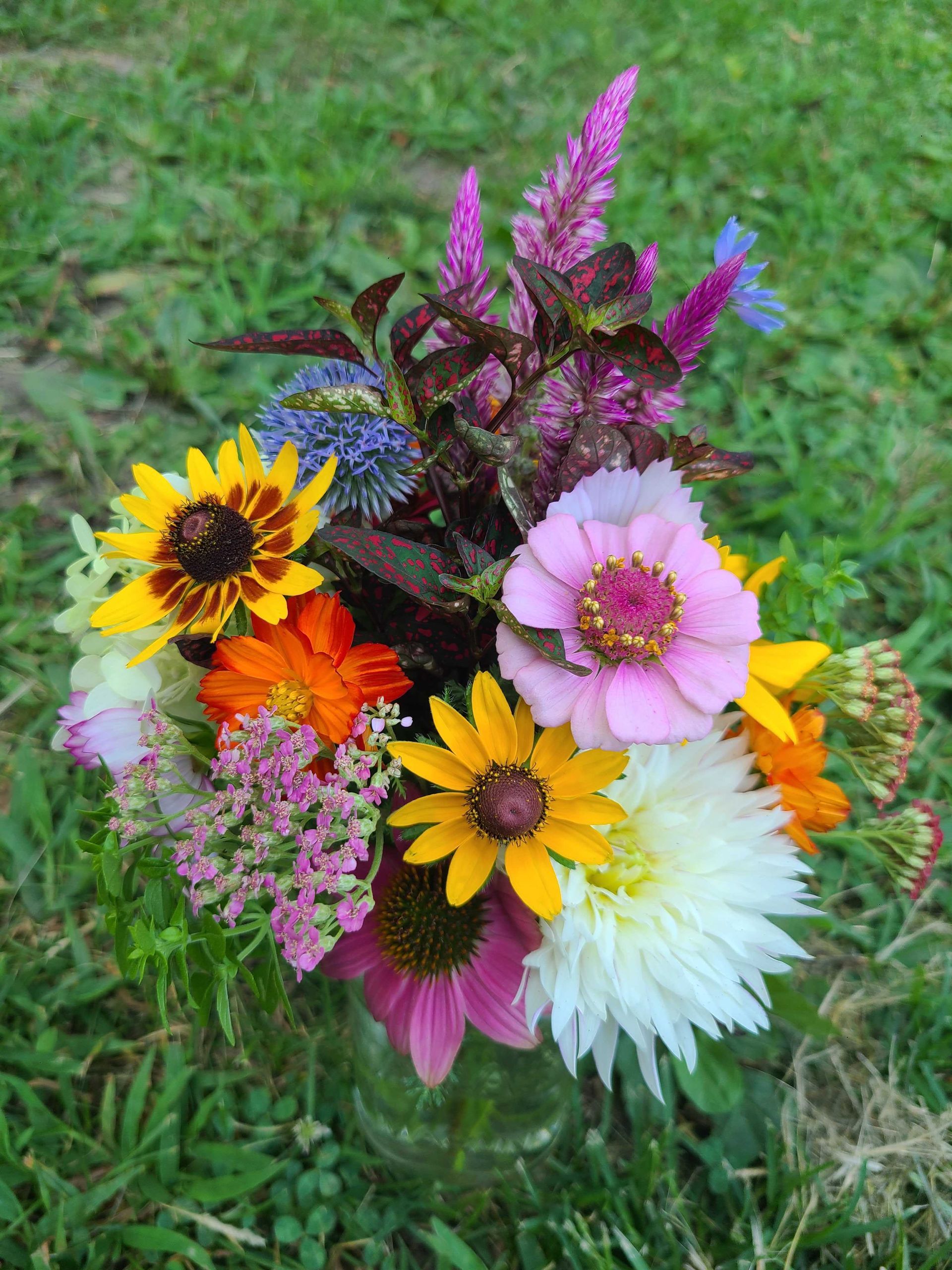 Colorful bouquet of cut flowers in pink, yellow, orange, white, and purple on grass