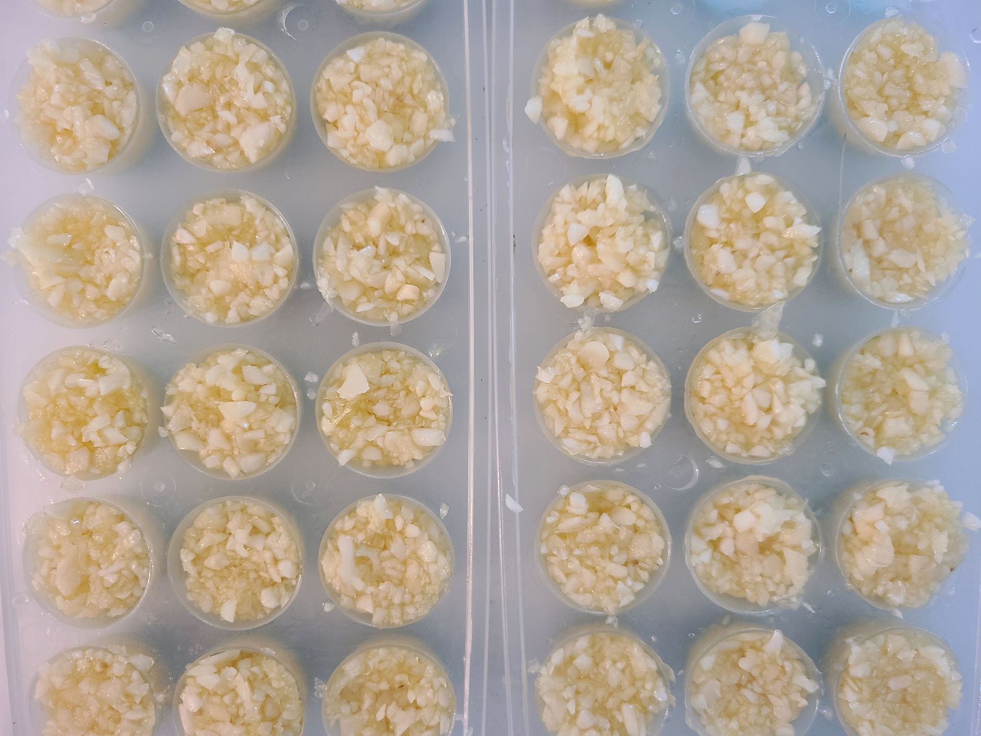 Rows of round cups filled with chopped garlic in ice cube trays.