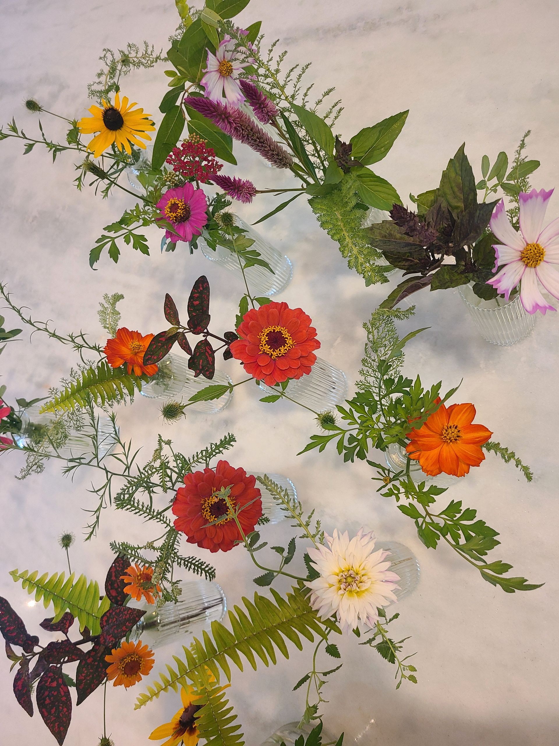 Cut flowers arranged in bud vases on a light background