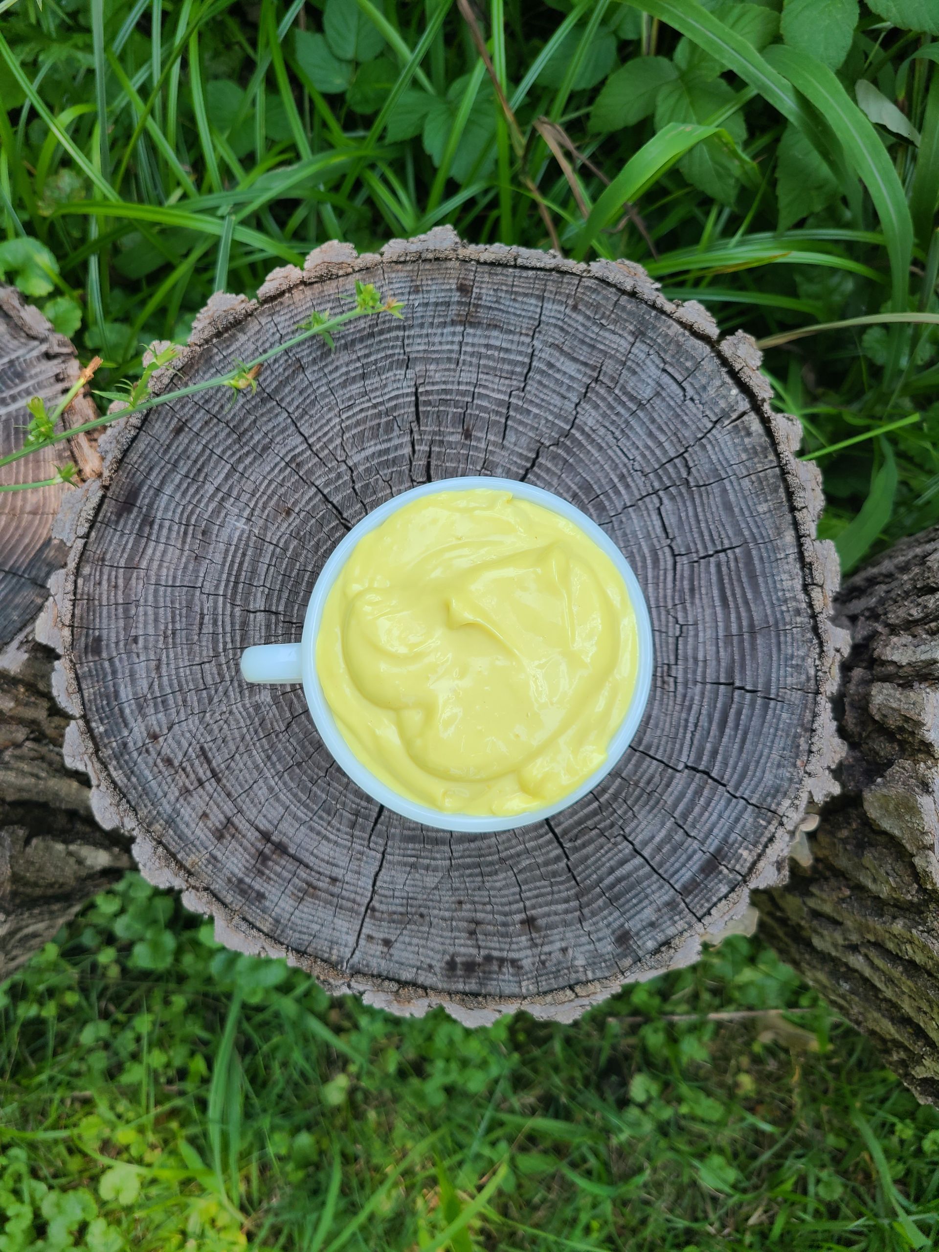 homemade mayonnaise in a white mug on a tree stump, surrounded by green grass.