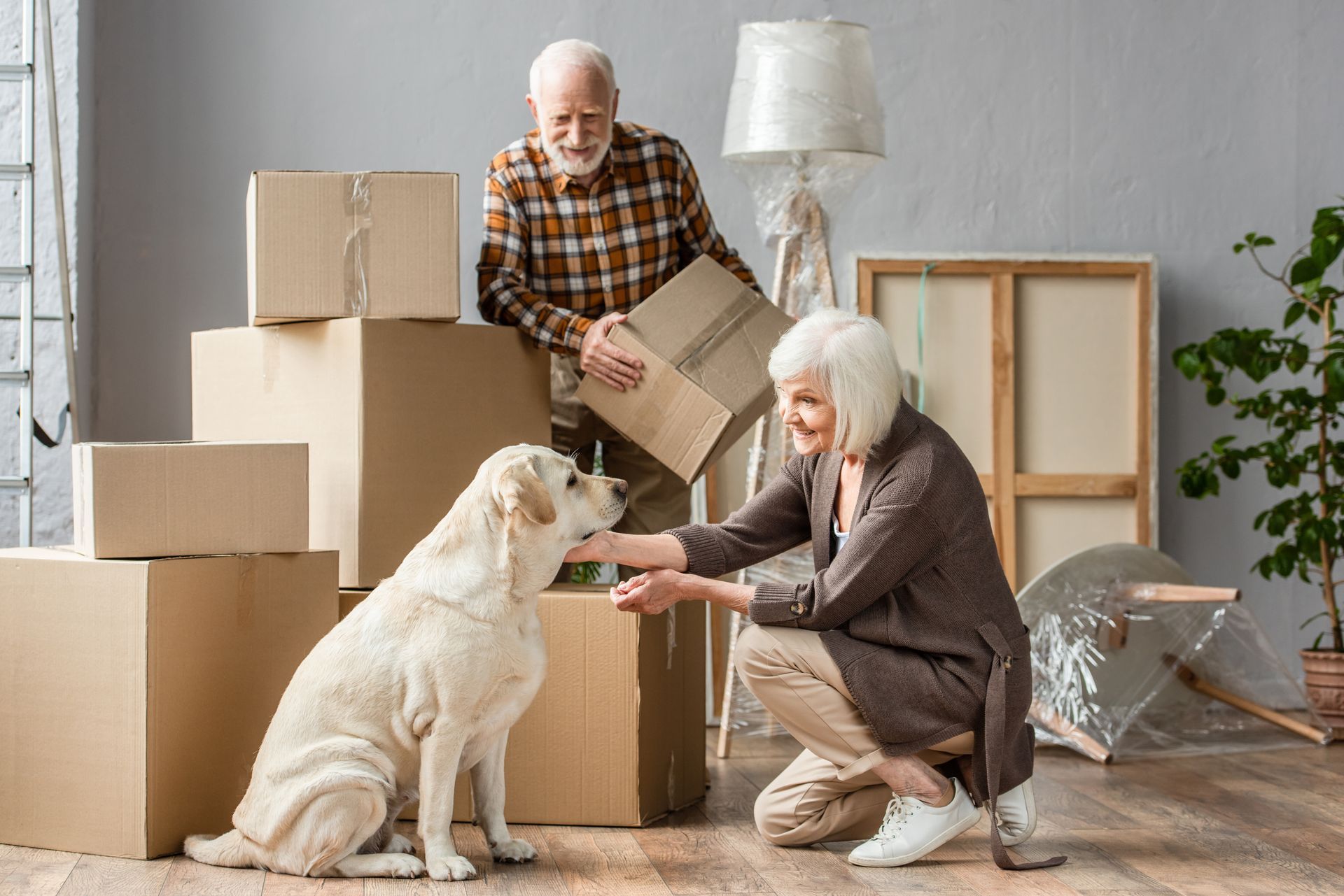 Two people packing cardboard boxes in a room with a golden retriever that a person is petting.