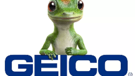 GEICO GEICO