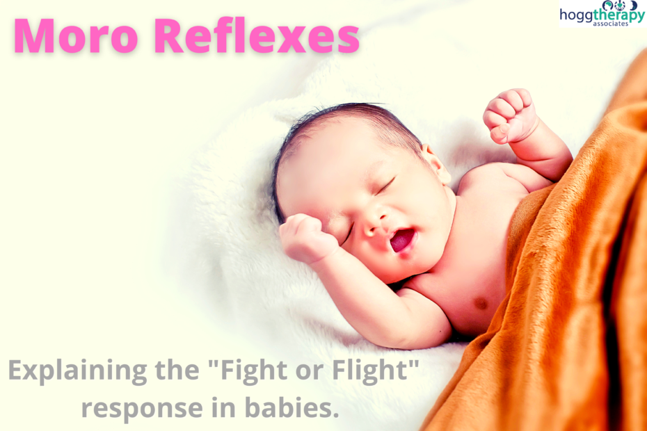 moro reflex blog