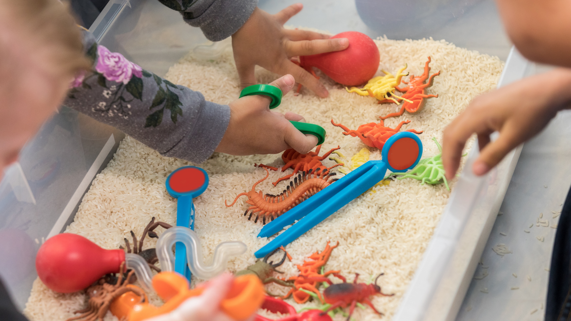 sensory bins