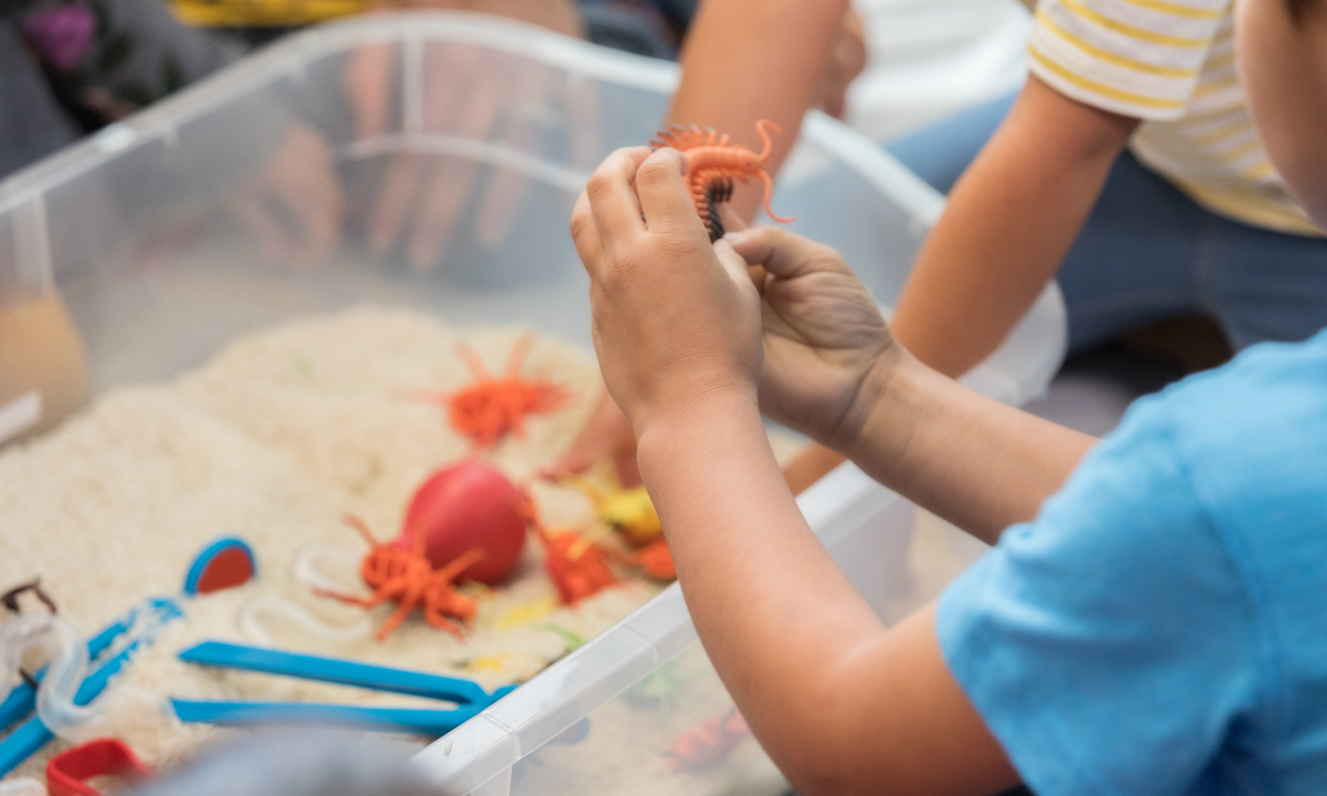 sensory development
