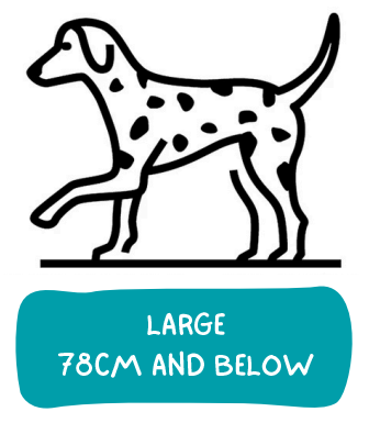 A line drawing of a dog with the words large 78cm and below.