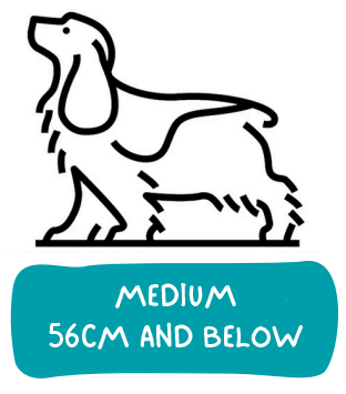 A line drawing of a dog with the words medium 56cm and below.
