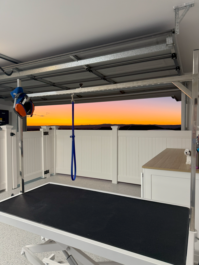 A dog grooming table in a studio with a sunset in the background