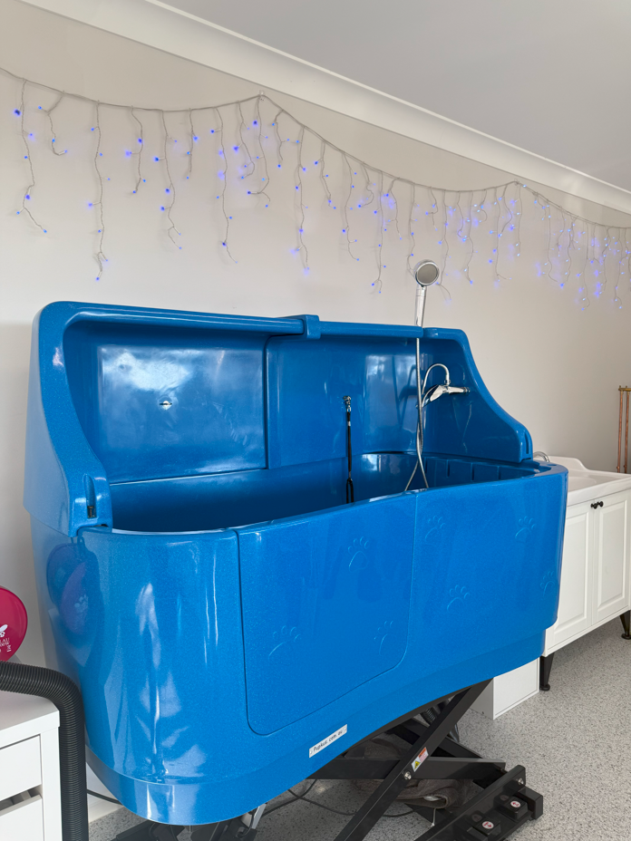 A blue dog bathtub is sitting in a room with fairy lights on the wall.