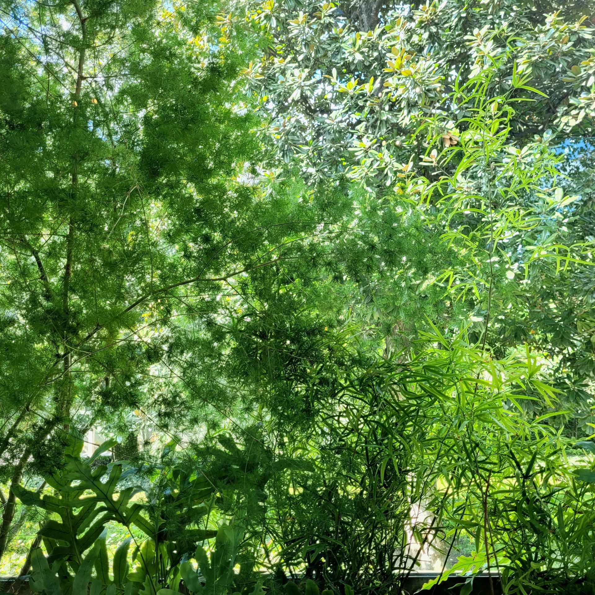Une rangée de plantes en pot posées sur le bord d'une rue.