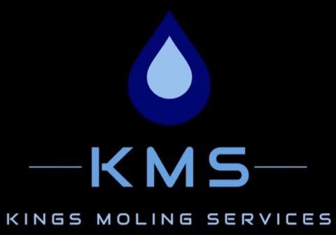 Kings Moling Services Kings Moling Services logo