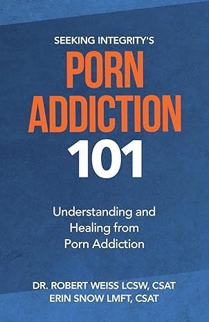 Porn Addiction 101 Book