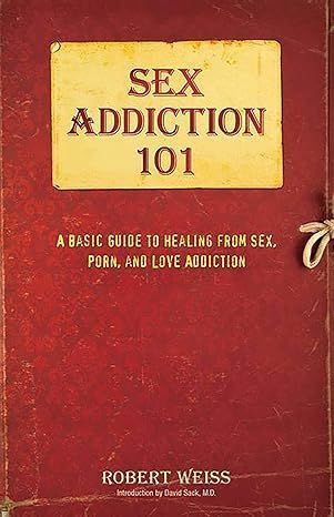Sex Addiction 101 Book