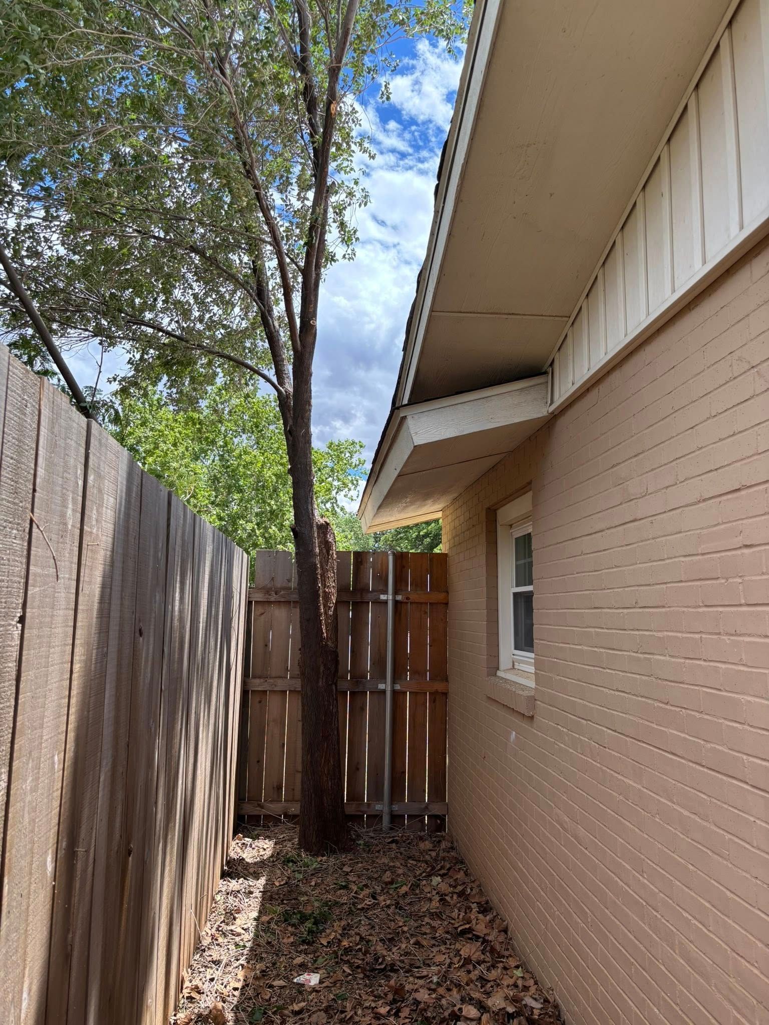A narrow space between a wooden fence and a brick building, with a tree growing in the middle.