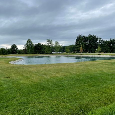 Beautiful Pond