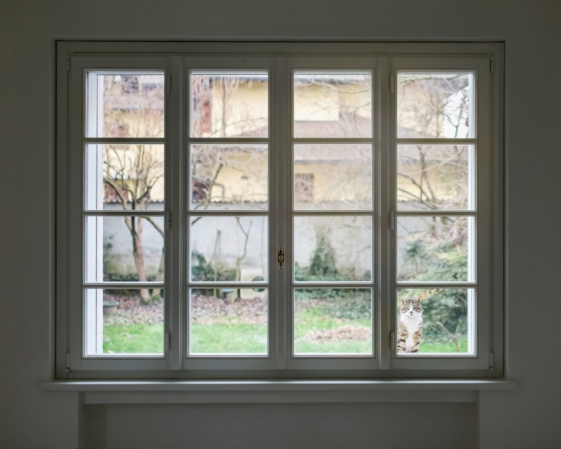 White Window — Newark, NJ — Loja’s Home Improvement Plus, LLC